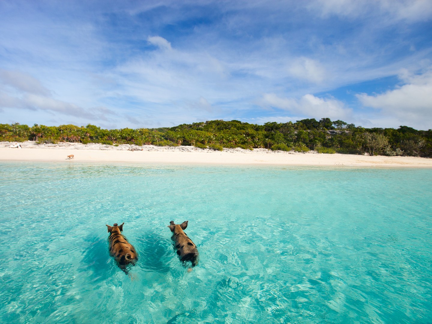 exuma