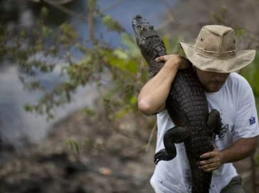 aligatoras_4.JPG