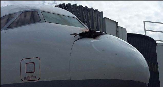 Lufthansa_4.jpg