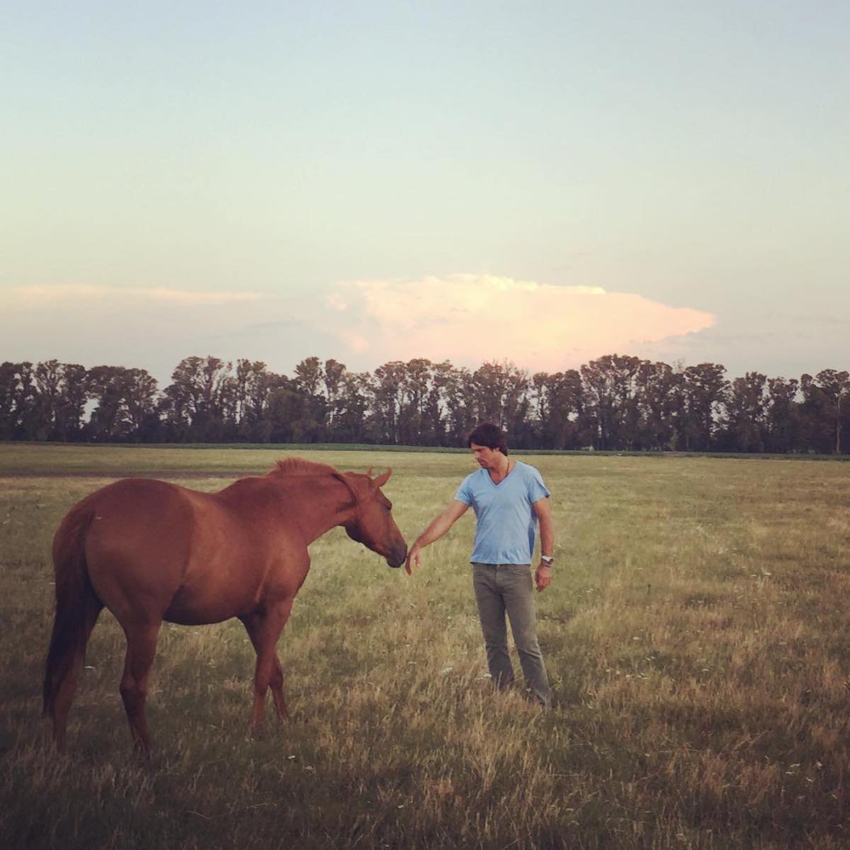 when-nacho-retires-from-professional-polo-he-plans-to-expand-the-breeding-business-he-described-the-farm-as-his-favourite-place-in-the-world