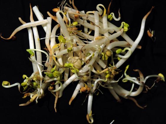 bean-sprouts