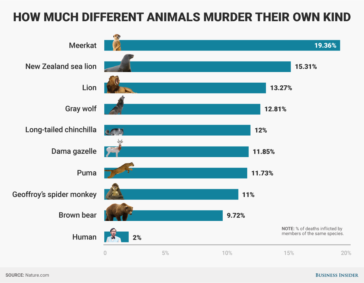 bi-graphics murderous-animal-percentages