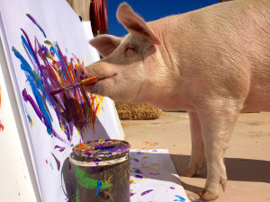 pigcasso the painting pig