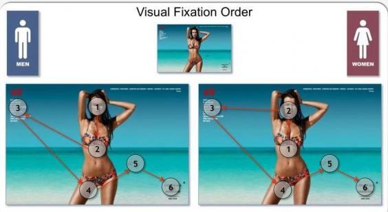 visual-fixation-order