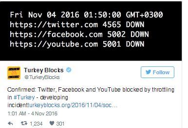 turkey_2.JPG