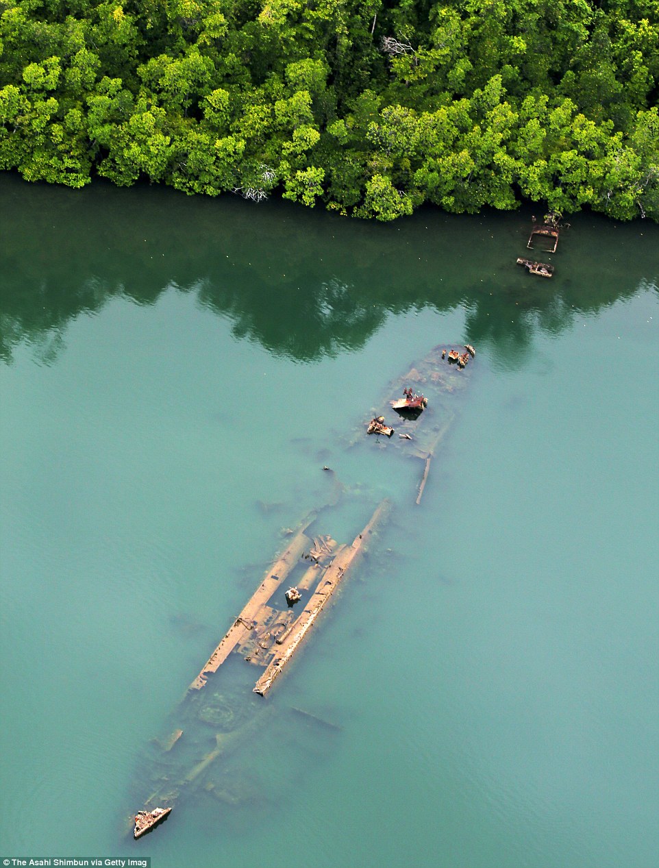 3B1207FC00000578-4003520-image-a-28 1481021776217