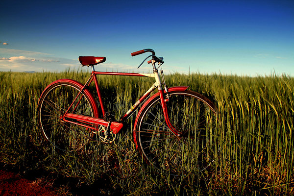 bicycle-in-field