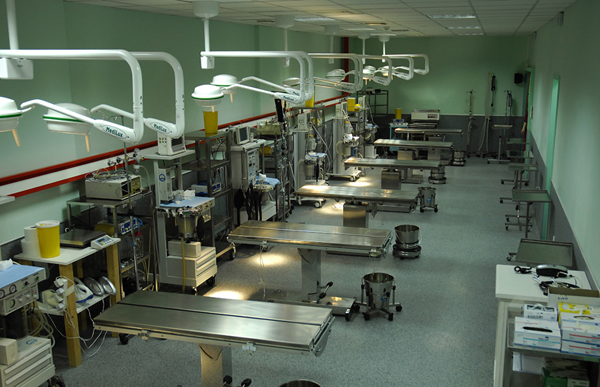 elpen ereunitiko kedro