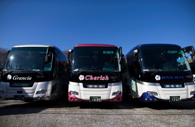 buses