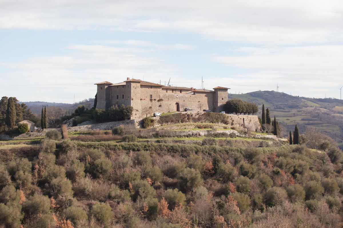 montepo