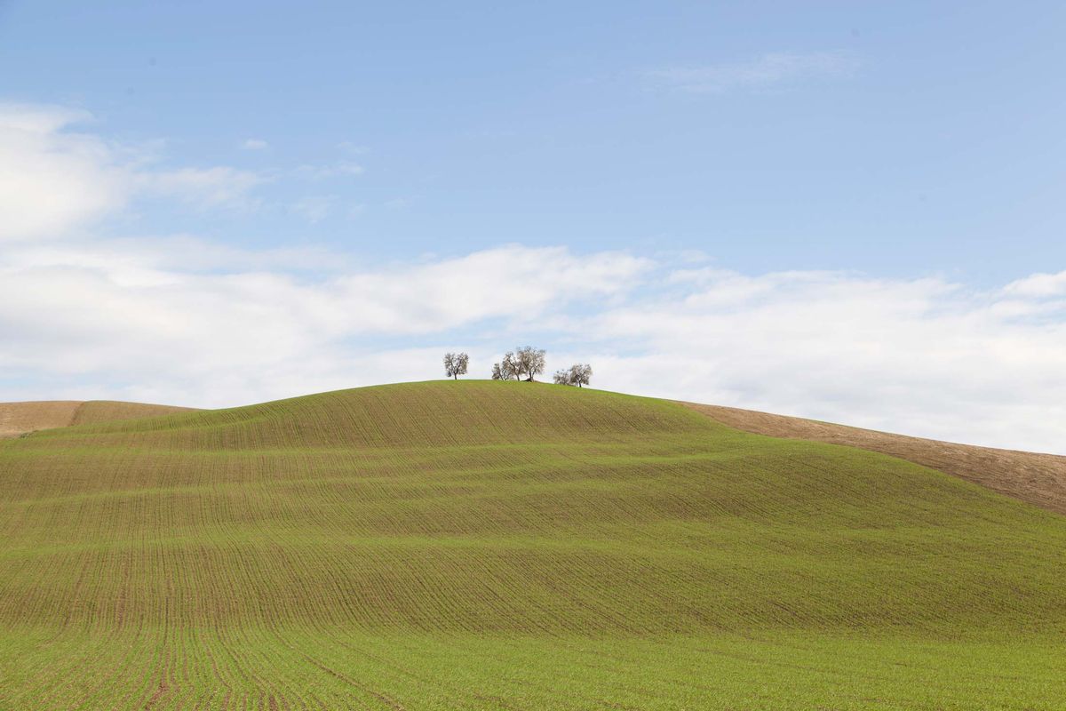 tuscany