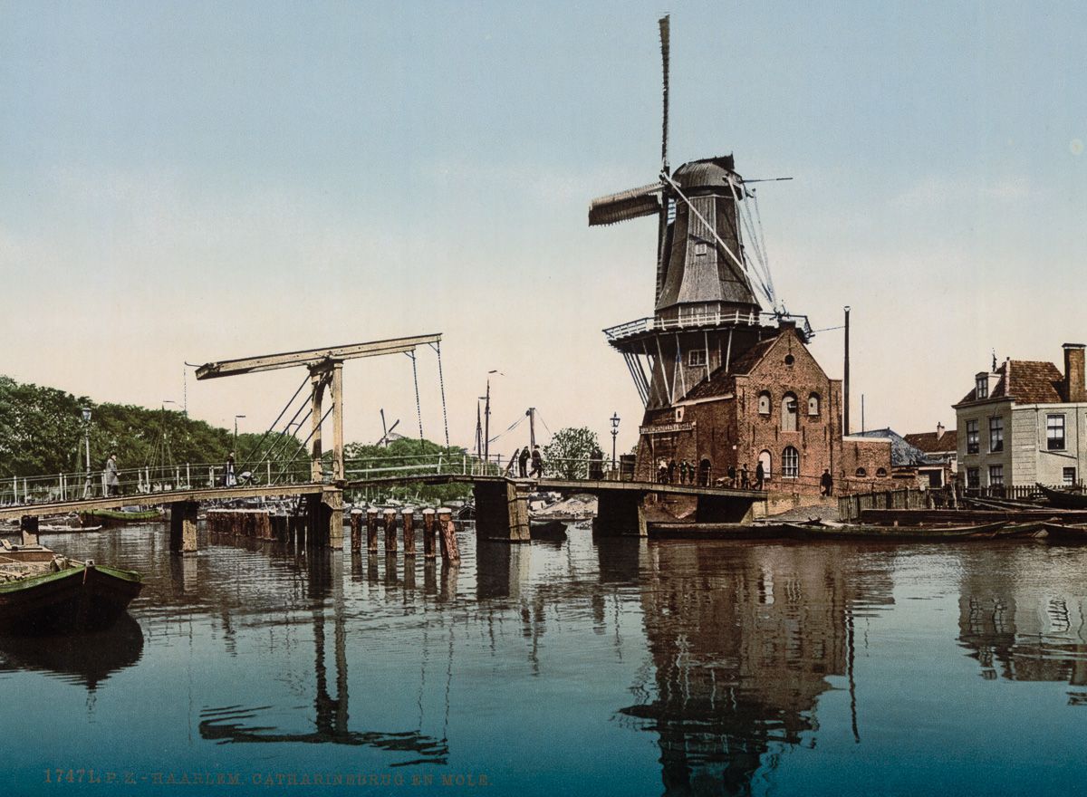 uploads 2017 3 1 hollandphotochrom 6