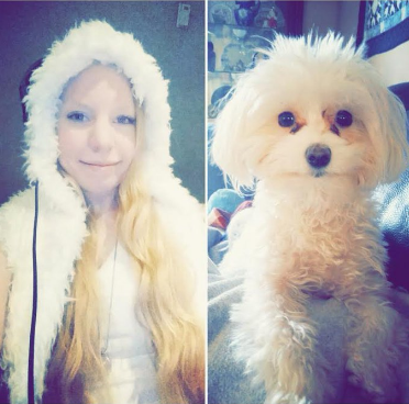 dog2.png