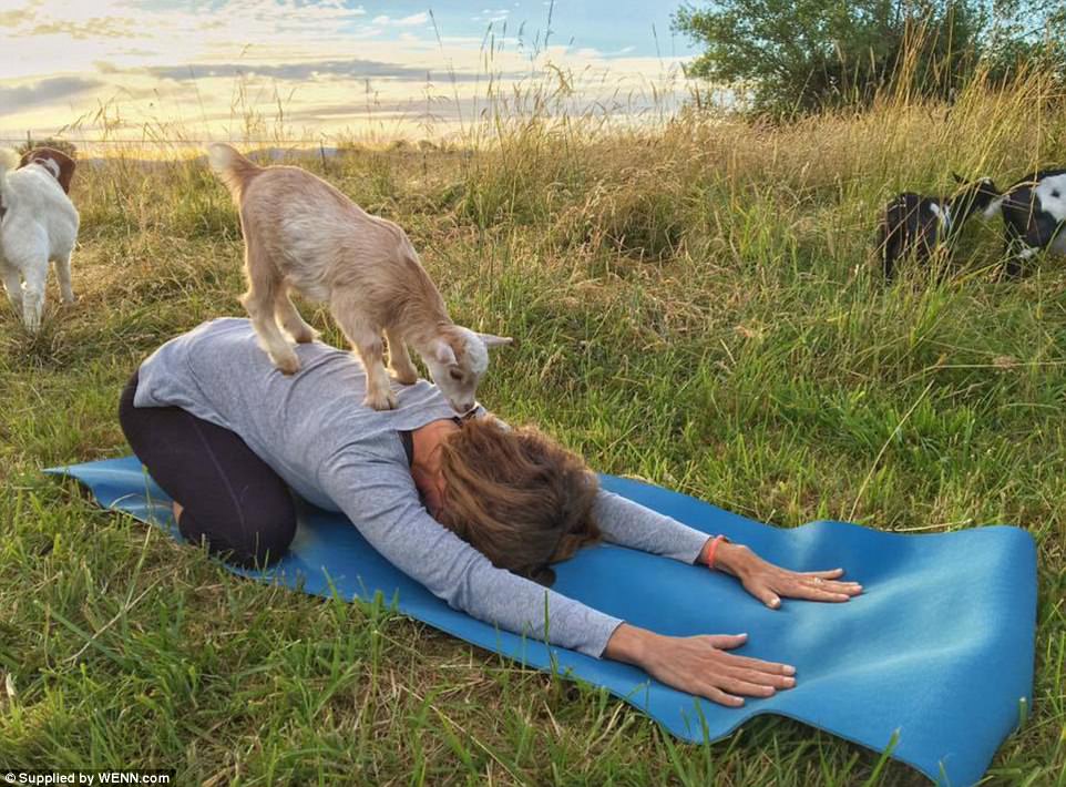 YOGA
