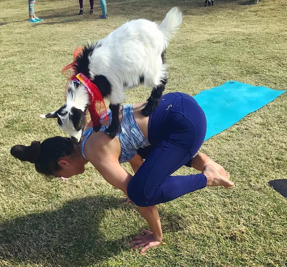 YOGA1