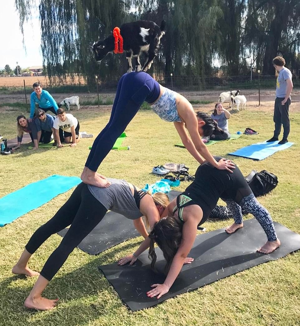 YOGA3