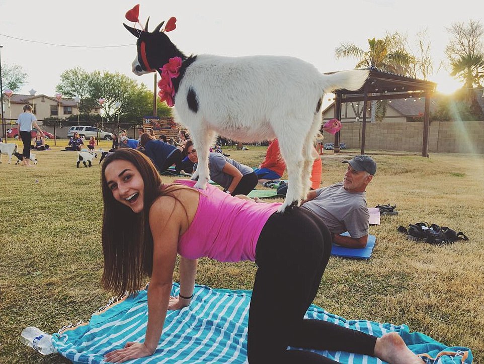 YOGA4