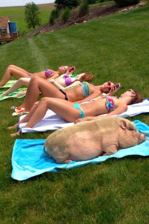 sunbath