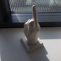 fuck finger