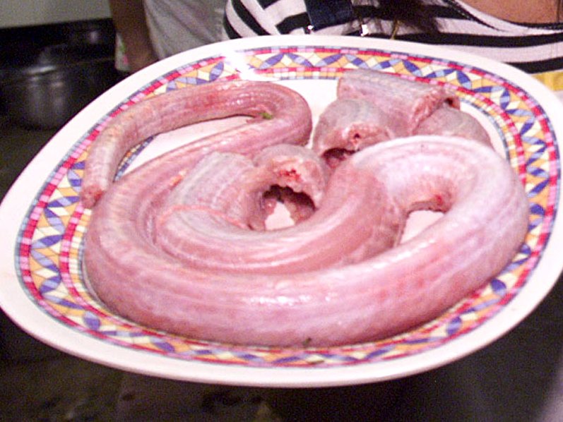cobra_stew.jpg