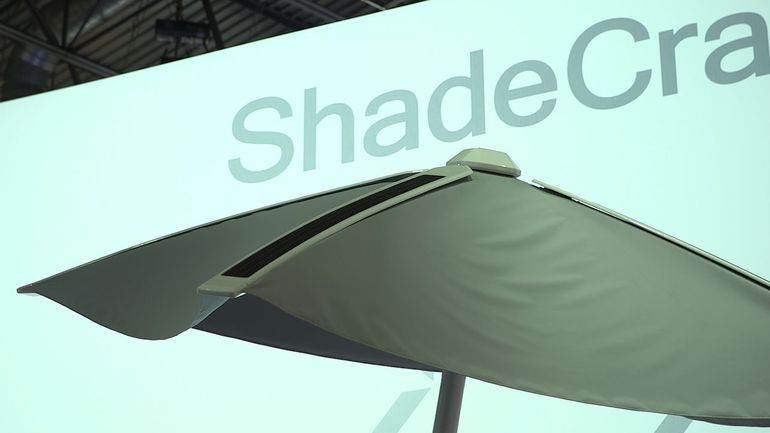 shade.jpg