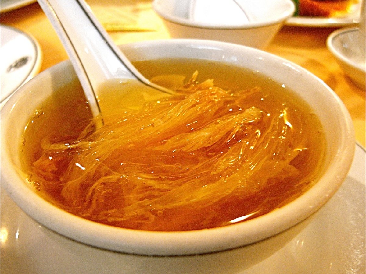 shark_soup.jpg