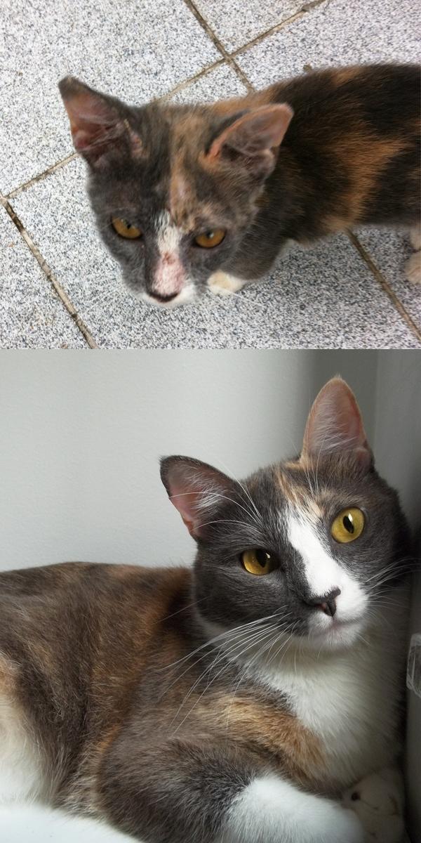 zoe