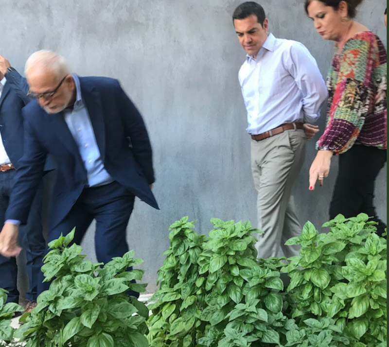 tsipras votana