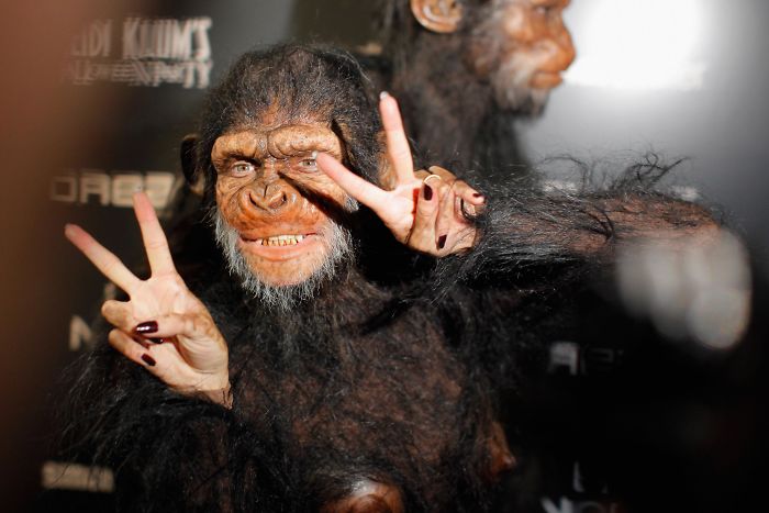 ape.jpg