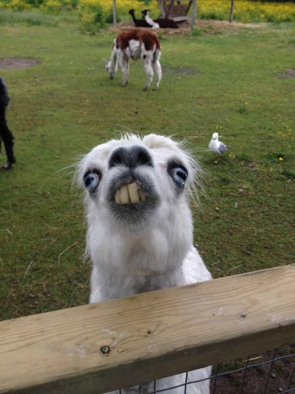 whatshisface.jpg