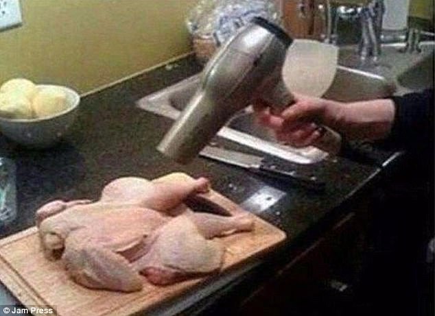 chicken