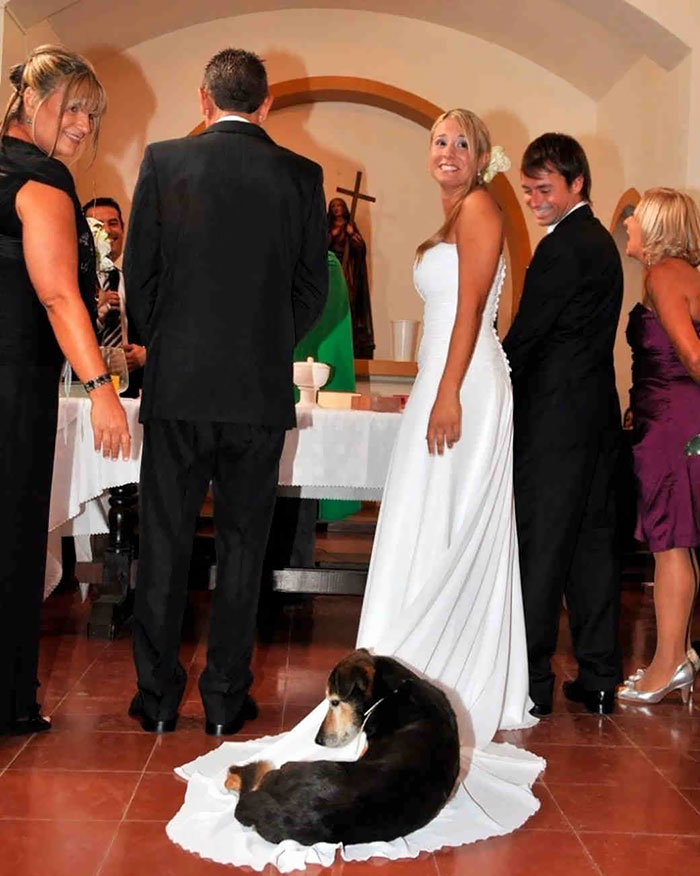 funny-wedding-photobombs-146-5a005ae28171f__700.jpg