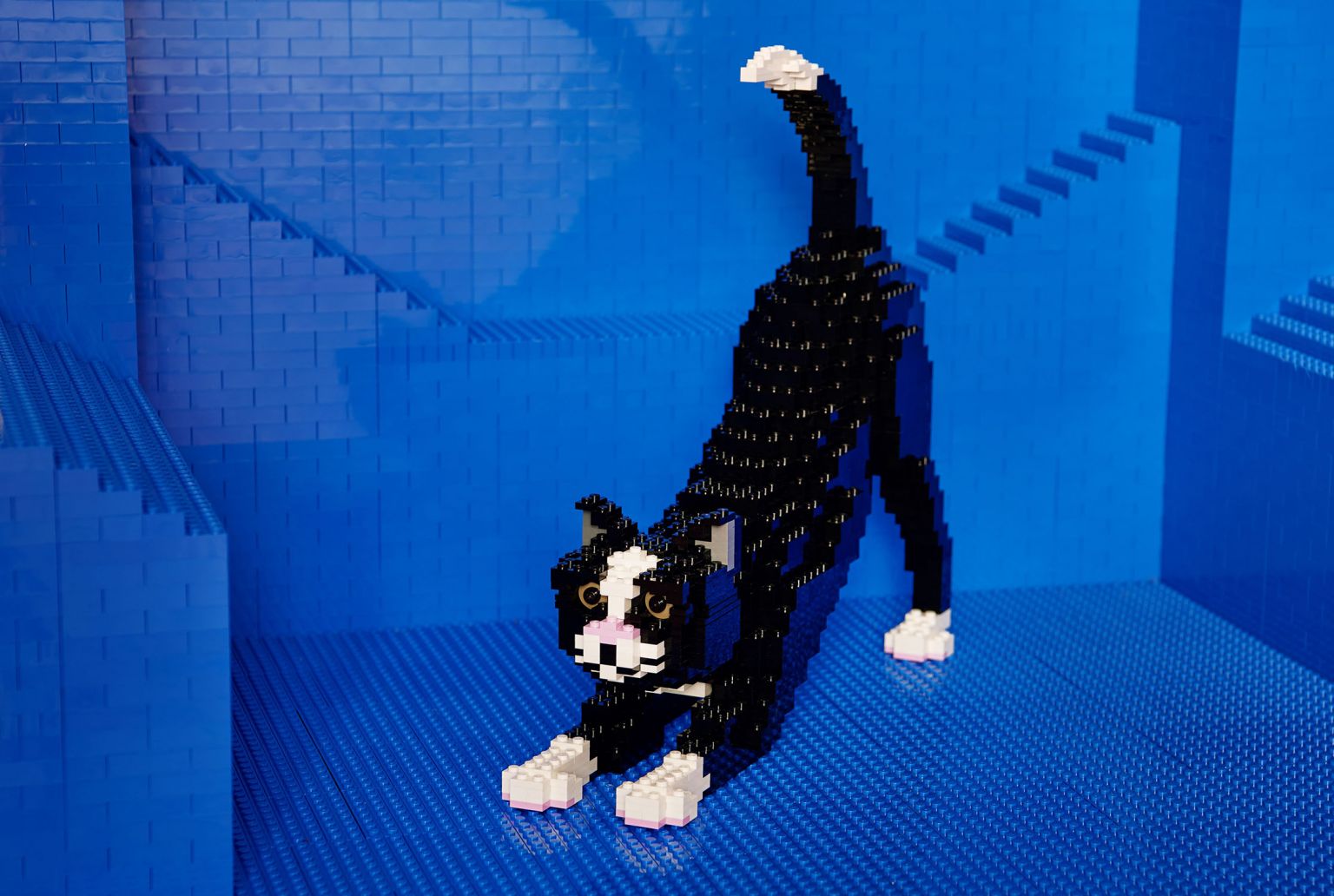 lego_foto.jpg