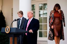 mel45