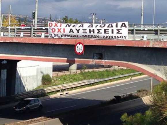 diodia diamartyria