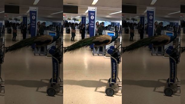 aerodrmoio_united.jpg