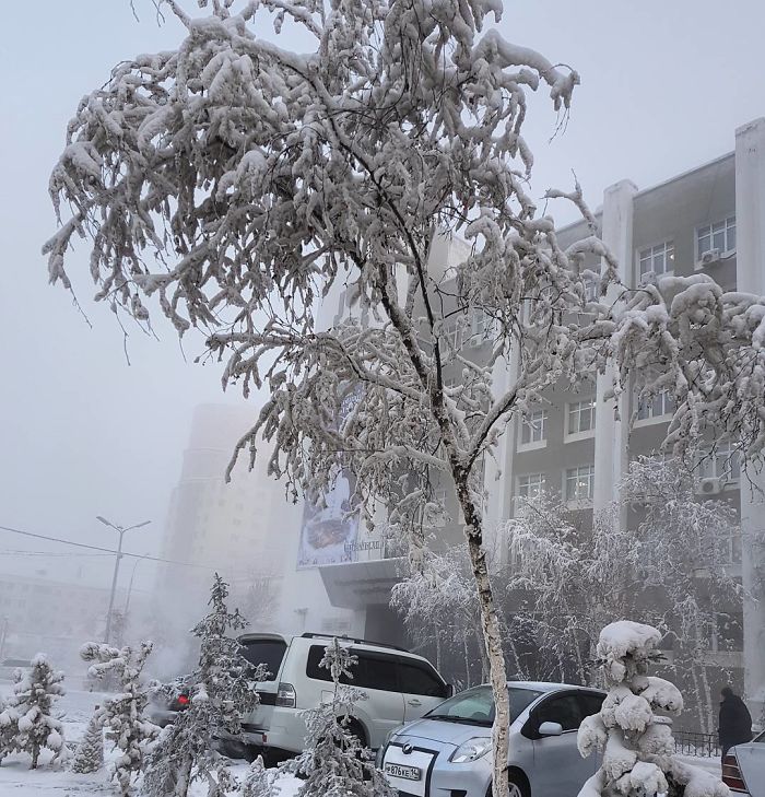 frozen_bil.jpg