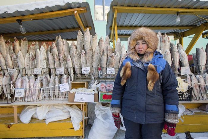 frozen_fish.jpg