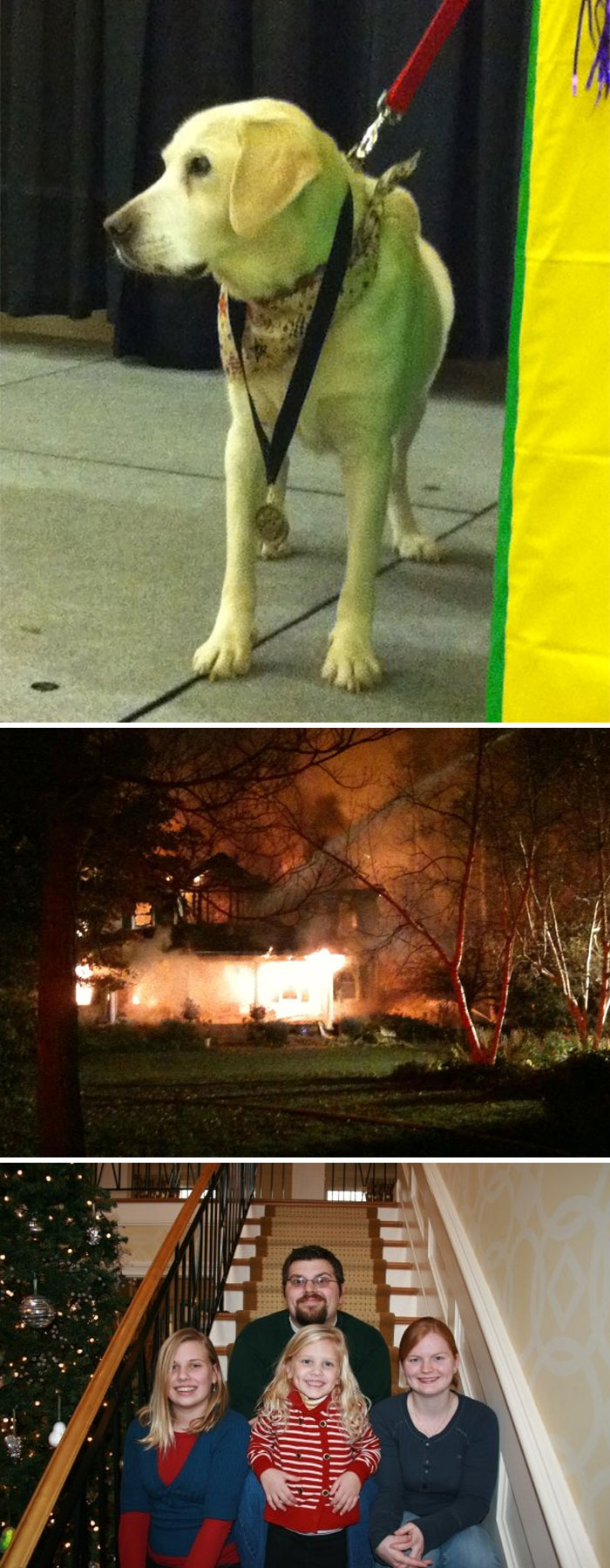 hero-dogs-100-5a4def6cca50f__700_1.jpg