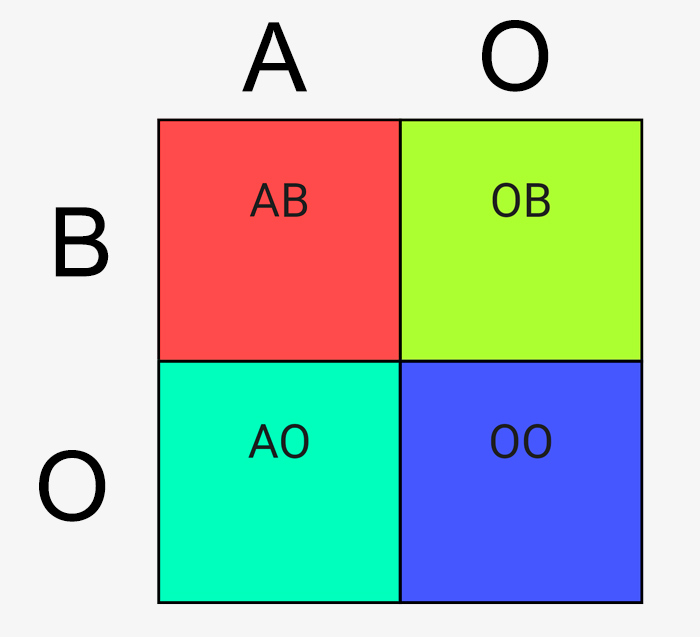 abo.jpg