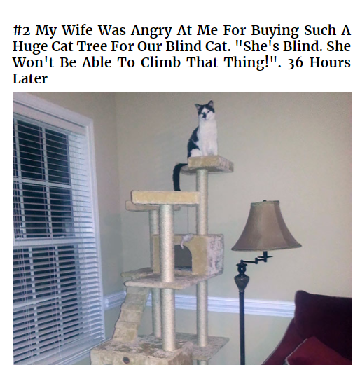 bbb2.png