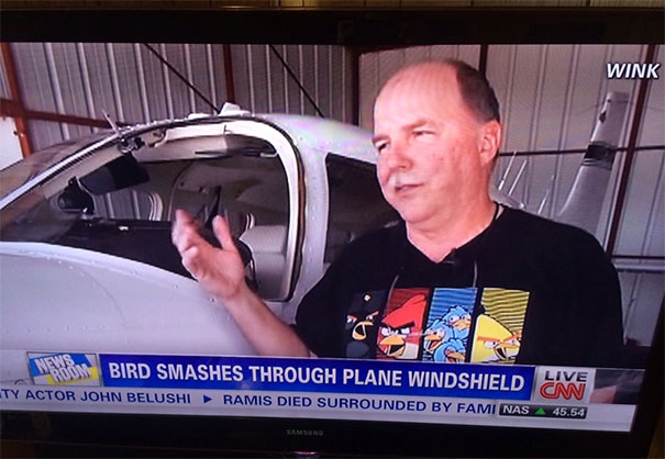 birds.jpg