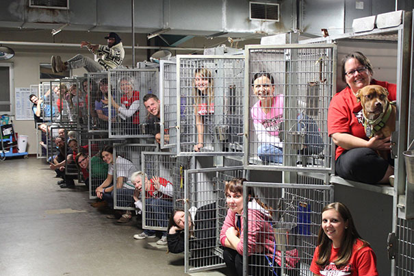 cute-animal-pictures-shelter-workers-10-5a8593684d7fa__605.jpg