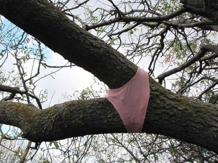 unexplainable-photos-raise-questions-12-5a6f2a7b77259__700.jpg