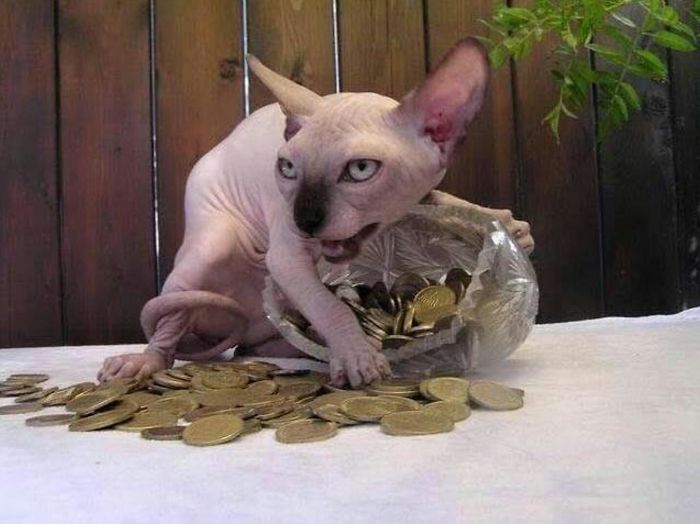 unexplainable-photos-raise-questions-141-5a6202a55688c__700.jpg