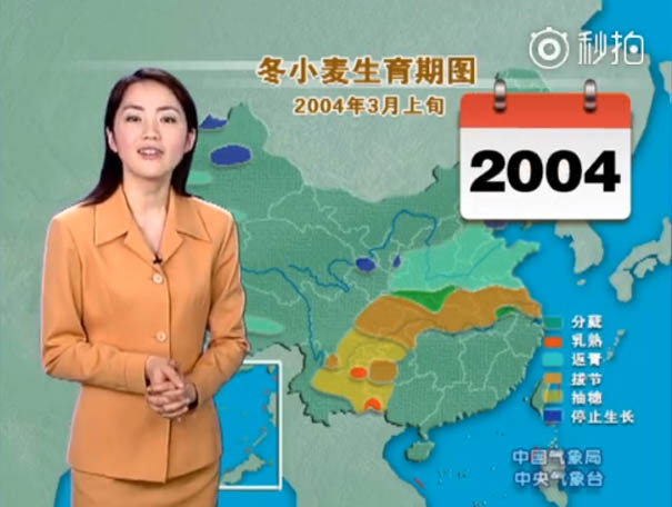 chinese-tv-presenter-doesnt-age-looks-young-yang-dan- 0008 2004