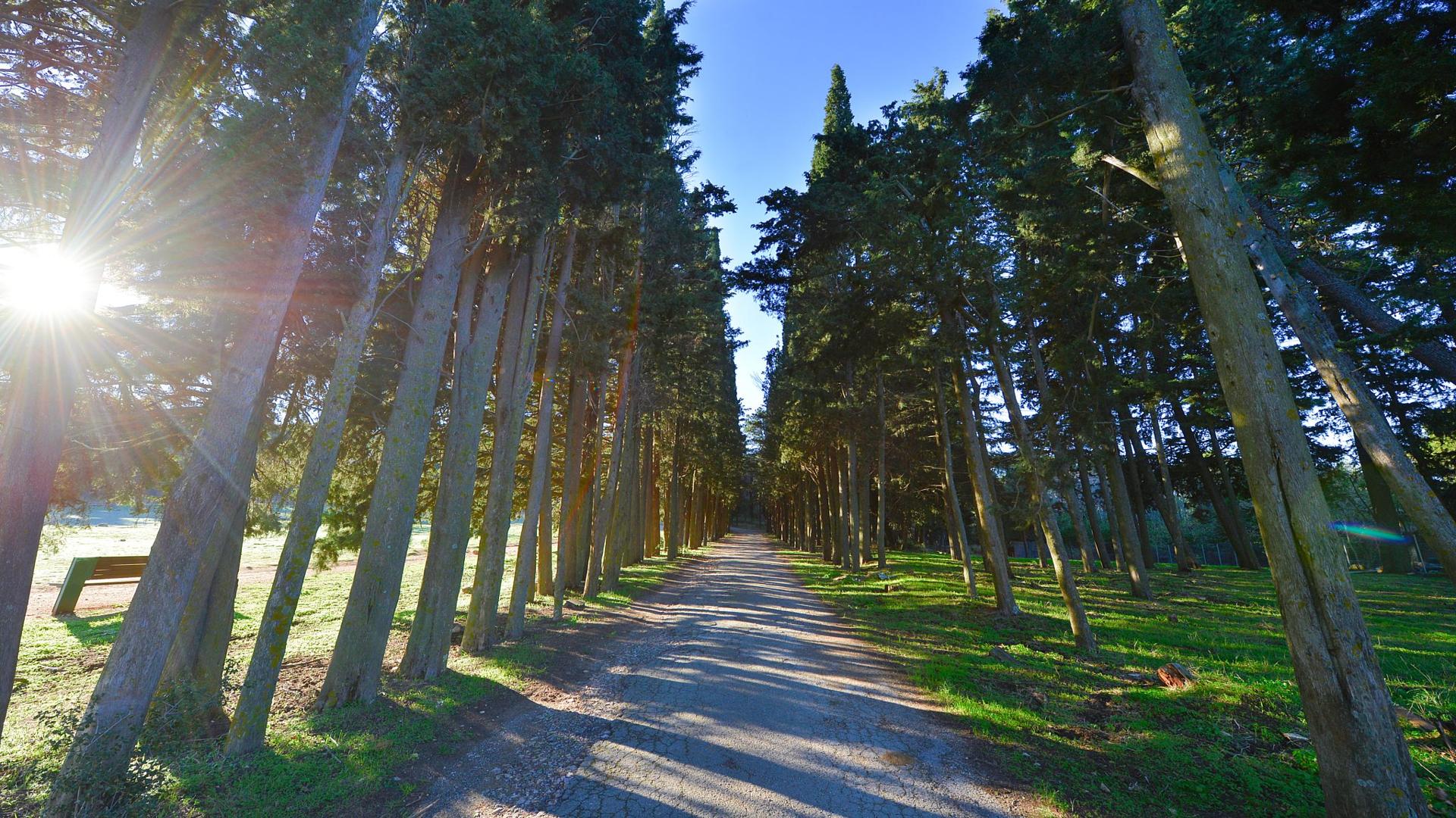 Tatoi Gardens
