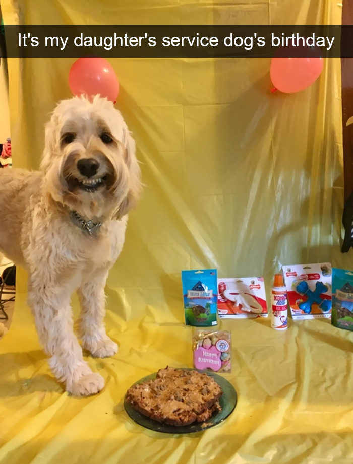 foto_dogs_8.jpg
