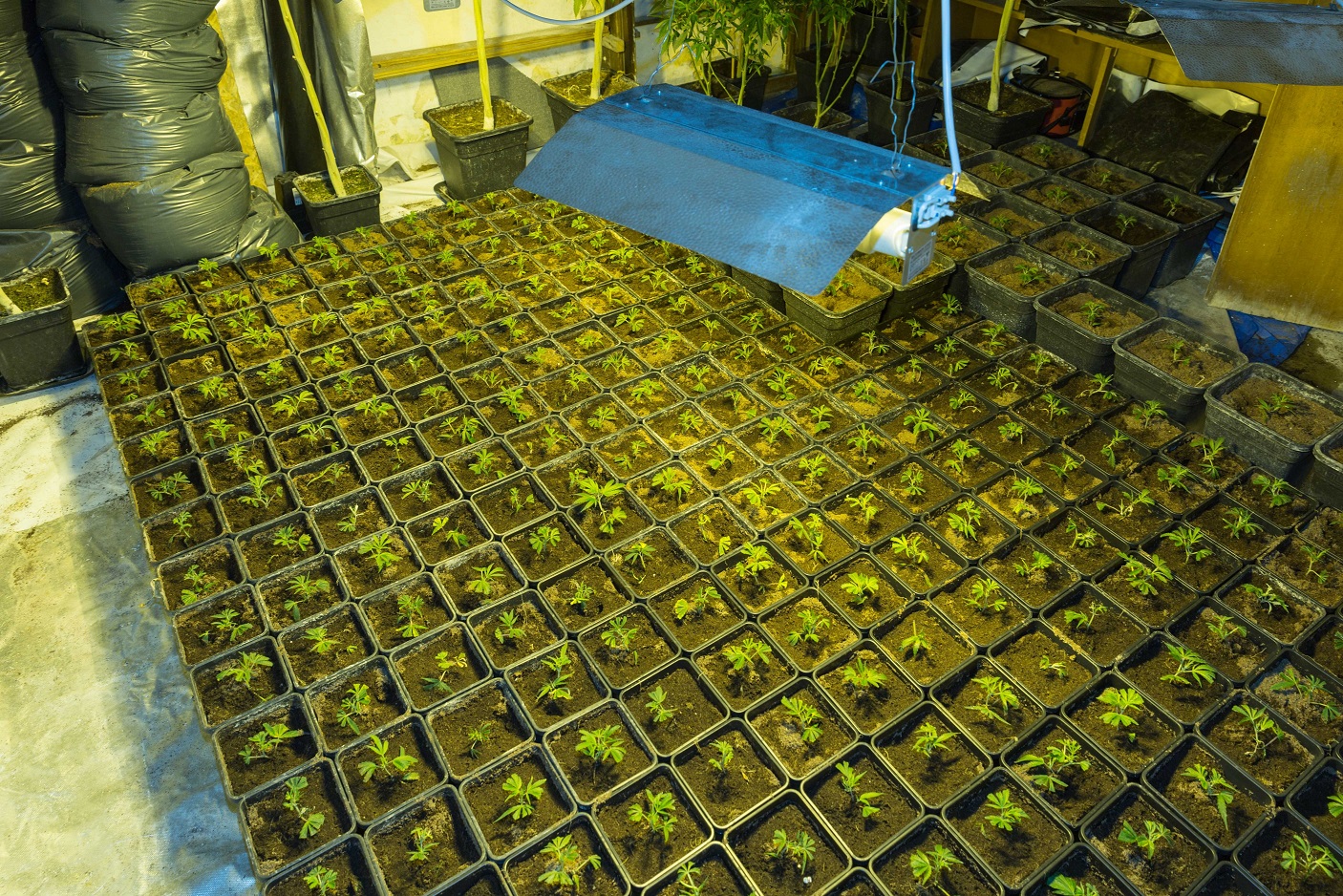 17042018paroysiasi003