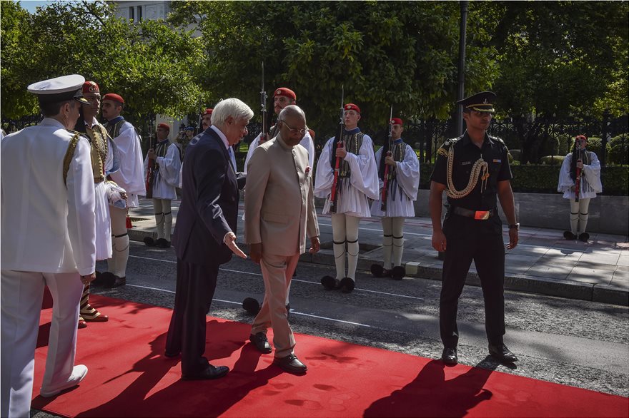 pakis2.jpg
